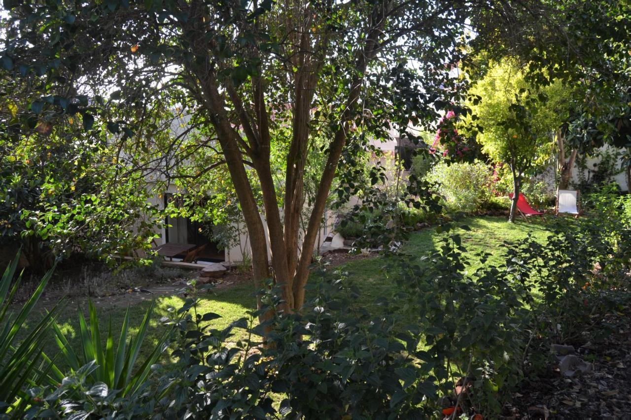 Garden In The City Silves Exterior foto